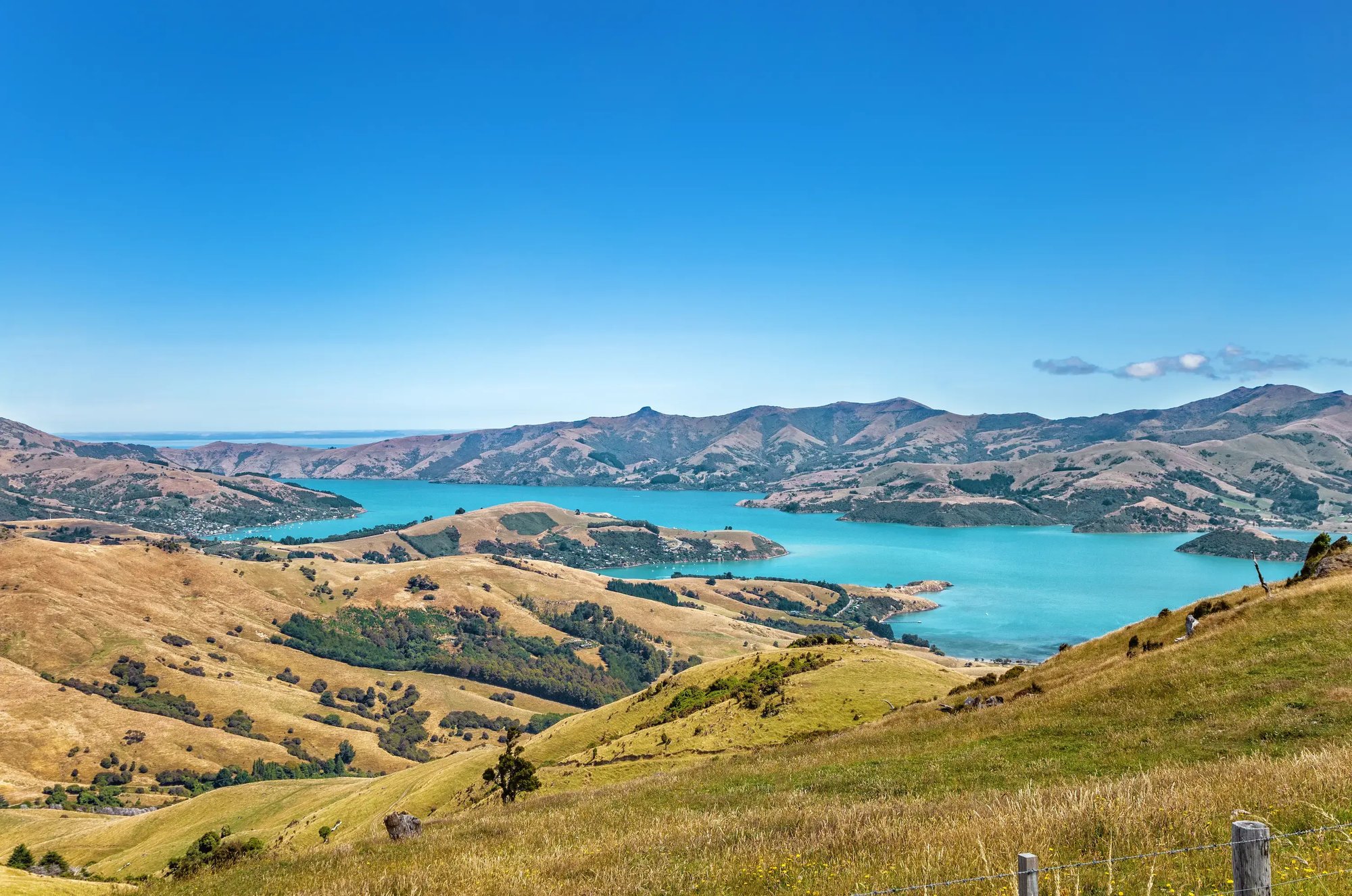 Akaroa Bay, Canterbury, South Island